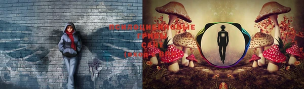 гидра Белоозёрский
