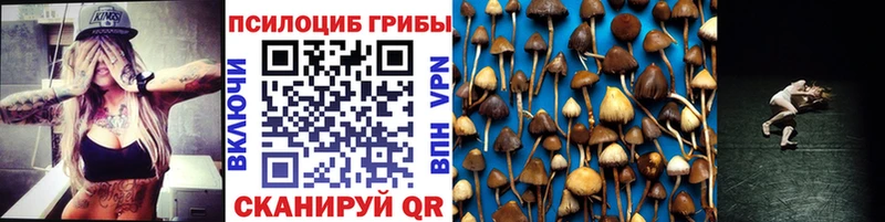 маркетплейс клад  Казань  Псилоцибиновые грибы Cubensis  где купить наркоту 